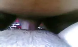 Uusi tissit seksi tyttö, tuntemattoman Perse