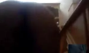 Pillua karvapillu video sormet potilaan sormeiltu
