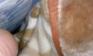 Nuoret osaavat myös kieltä porni seksi