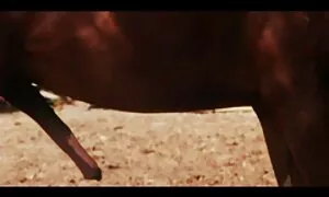 Sen jälkeen hän porno seksi video paskoi.